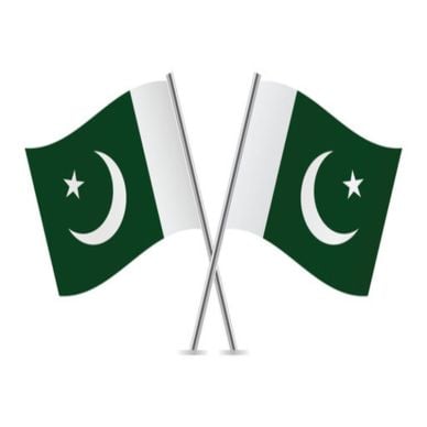 Small Pakistani Flag For Kids