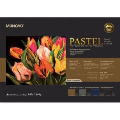 Mungyo Professional Pastel Paper Pad Dark Assorted A4